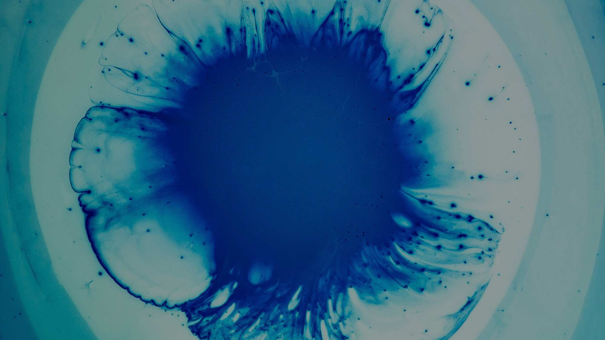 Ein Bild aus der Vogelpersketive aufgenommen, das blaue Farbe verlaufend in Wasser zeigt