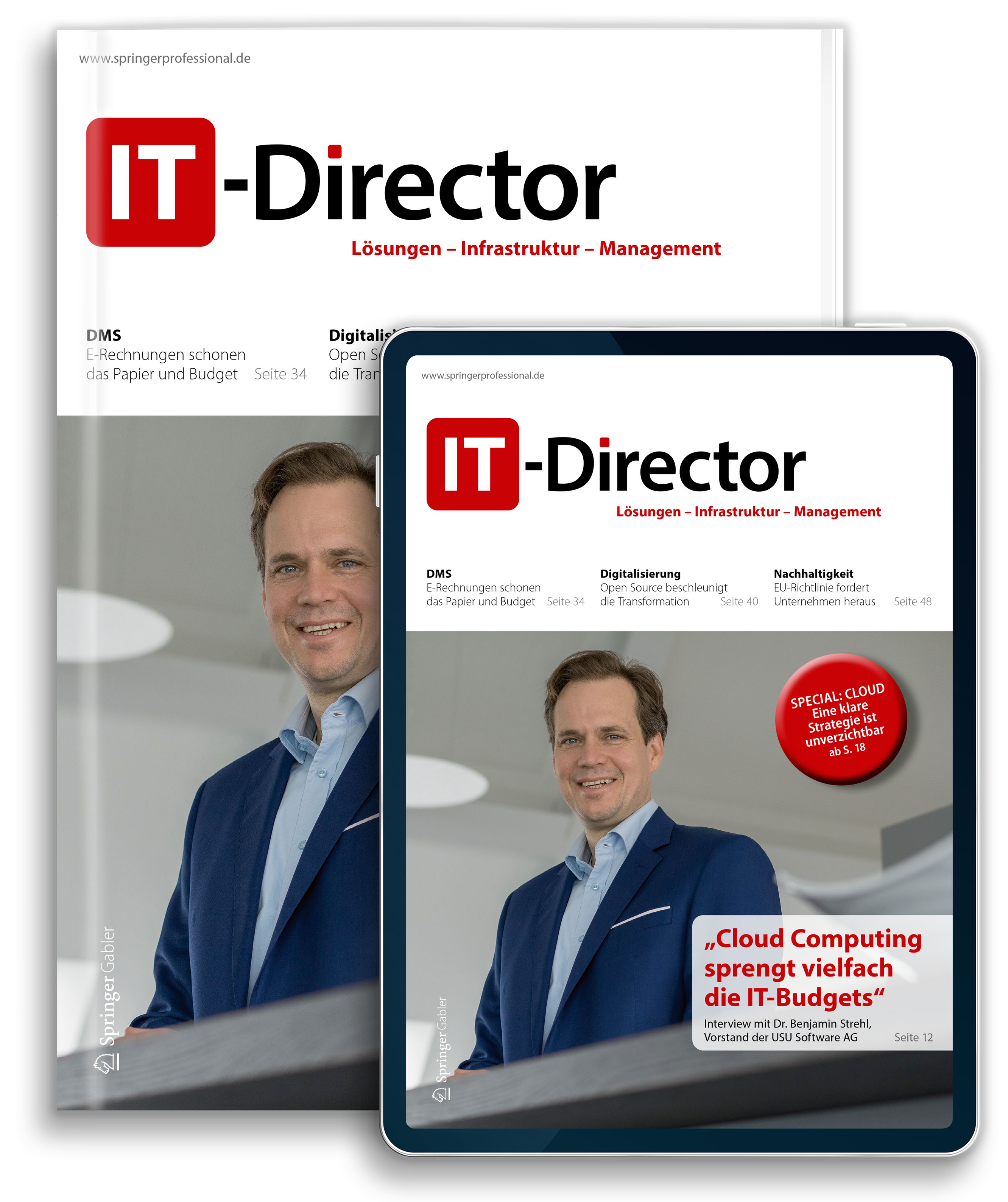 IT-Director